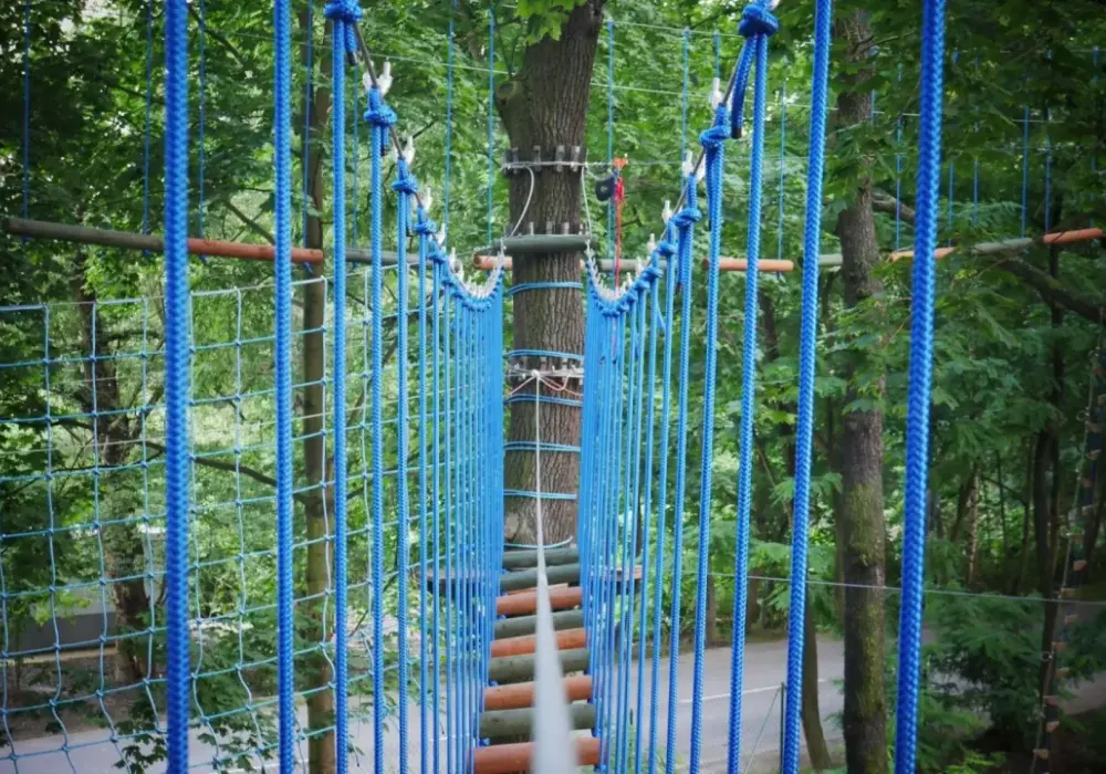Park linowy Katowice - wyjątkowe atrakcje dla całej rodziny