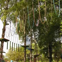 Park linowy Kazimierz Dolny - emocjonujące trasy i niezapomniane wrażenia