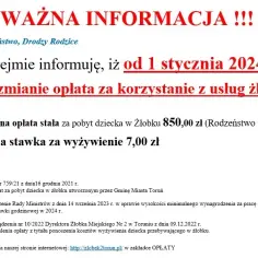 Ile kosztuje żłobek w Toruniu? Sprawdź ceny i oszczędności