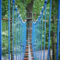 Park linowy Katowice - wyjątkowe atrakcje dla całej rodziny