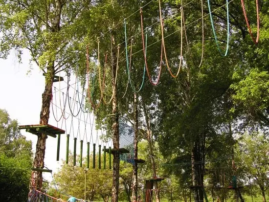 Park linowy Kazimierz Dolny - emocjonujące trasy i niezapomniane wrażenia