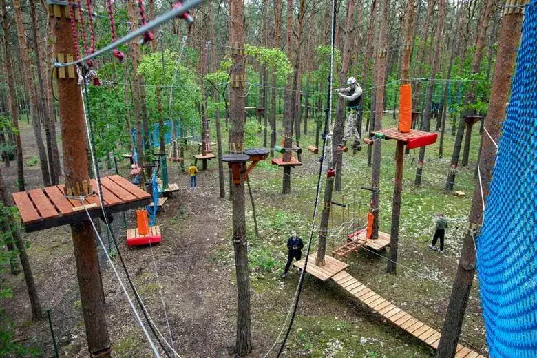 Zdjęcie Najtrudniejszy park linowy w Polsce: wyzwania, których nie pokonasz