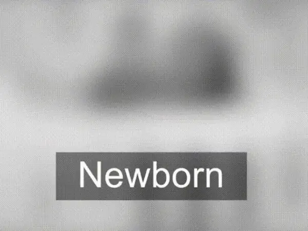 Co widzi 2 tygodniowe dziecko? Zaskakujące fakty o wzroku niemowląt